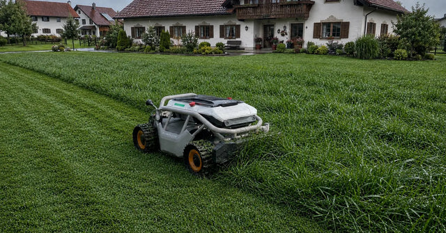 Ein Mowrator Mähroboter mäht nasses, dichtes Gras in einem Wohngarten nach dem Regen.